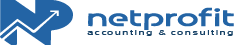 Netprofit Consulting